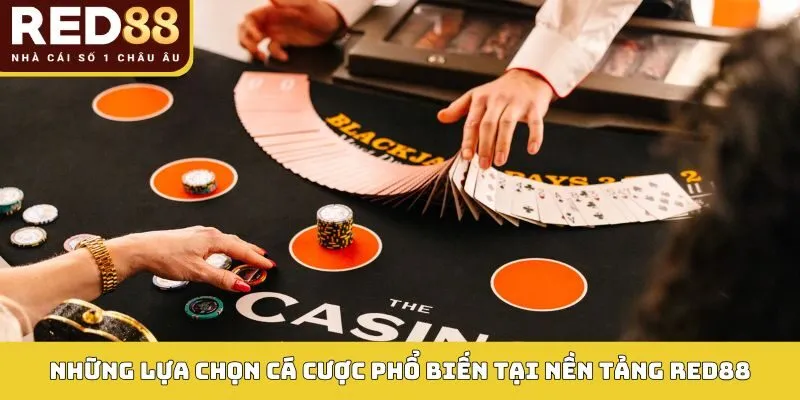 LIVE CASINO 3 Những lựa chọn cá cược phổ biến tại nền tảng Red88