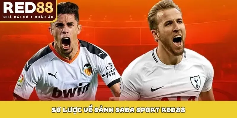 SABA SPORT 1 Sơ lược về sảnh SABA Sport RED88